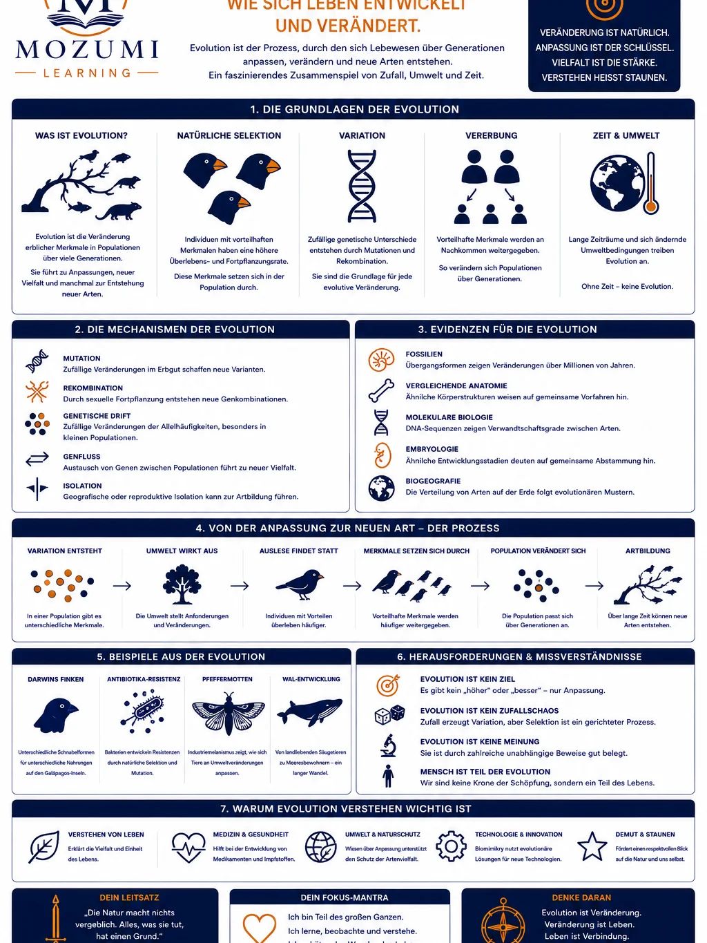 WISSEN & WISSENSCHAFT - Infografik Nr. 3 (Evolution verstehen) product image (1)