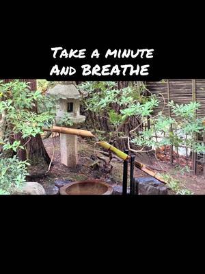 #breathe #zen #fyp 