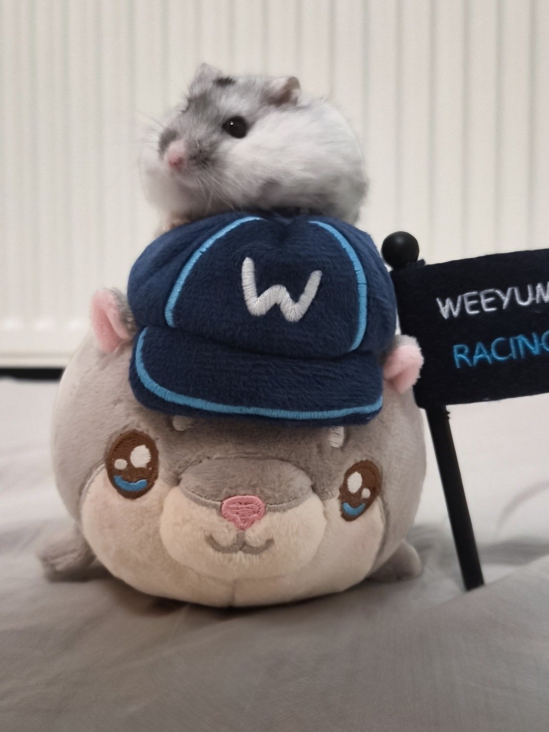 Go Weeyums! Plushie product image (2)