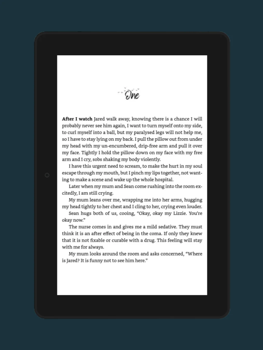 When Destiny Collides (Recycled Souls #2) product image (4)