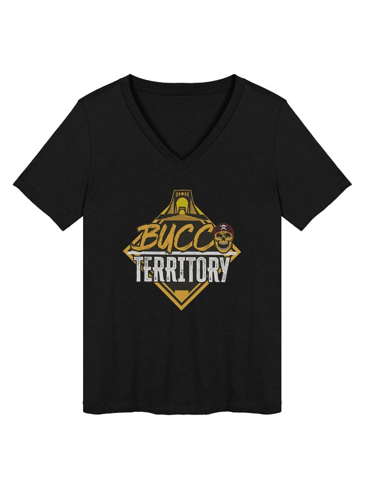 Women's V-Neck T-Shirt product image (2)