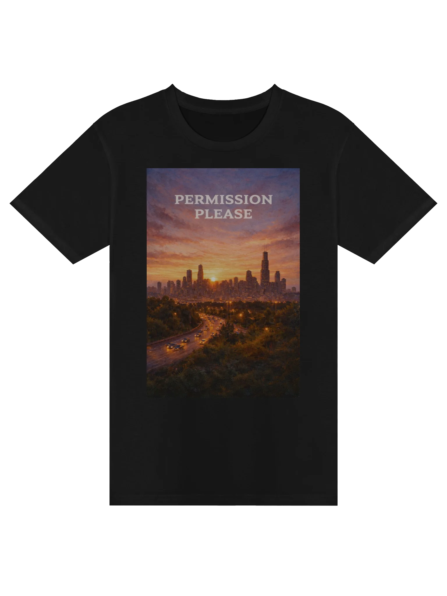 permission please (shirt) product image (1)