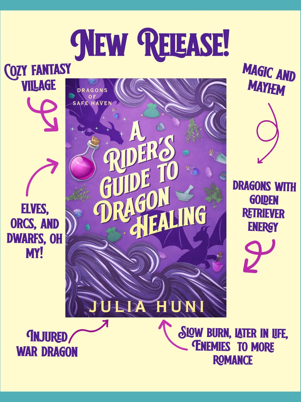 A Rider's Guide to Dragon Healing - Paperback product image (2)