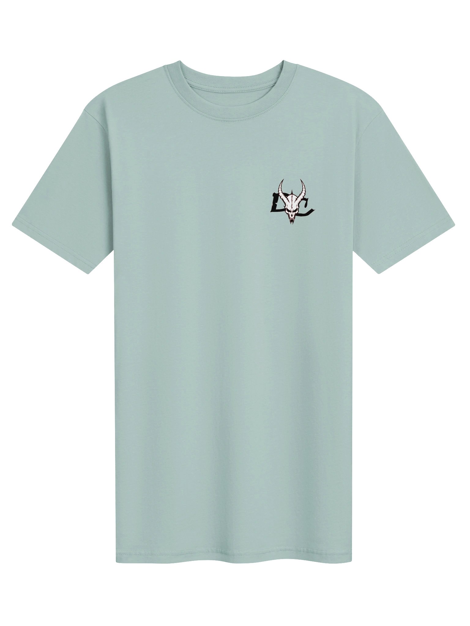 Diabolic Skull Heavyweight Tee product image (1)