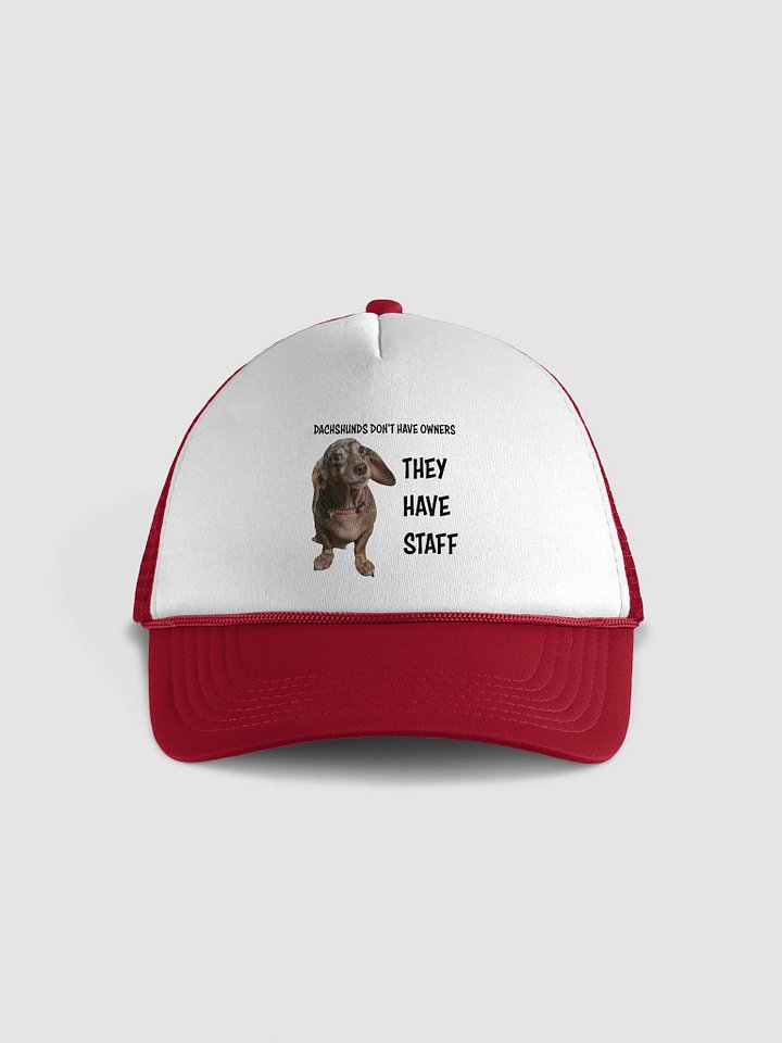 Dachshunds Have Staff Foam Trucker Hat product image (1)