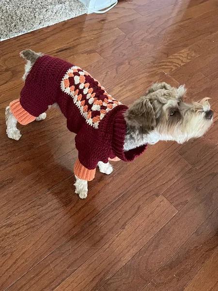 Crochet Dog Sweater Pattern PDF – Easy DIY Pet Clothes, Step-by-Step Instructions product image (4)