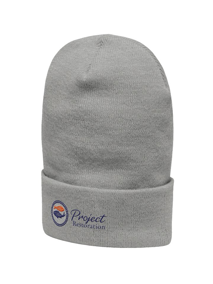 Project Restoration Beanie product image (2)