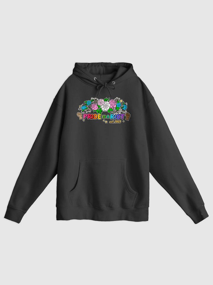 Pride is a Riot Hoodie product image (1)