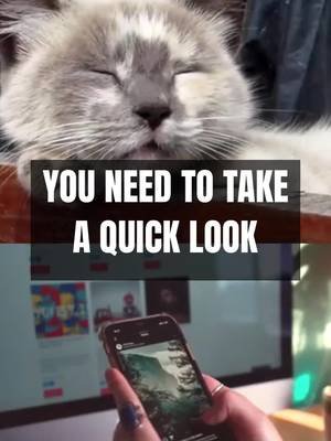 Test it on your own account first check your own account before someone else does free scan darktik.com #privacy #phoneprotection #protection #lifehack #tipoftheday