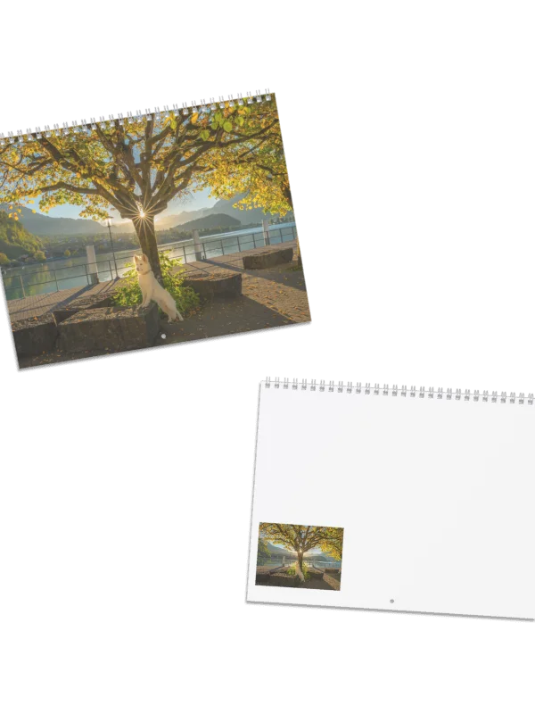 Lil Rasta Calendar 2027 product image (1)
