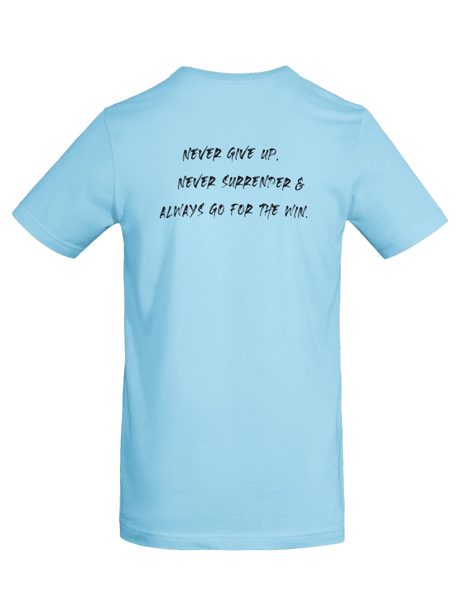 Never Surrender product image (86)