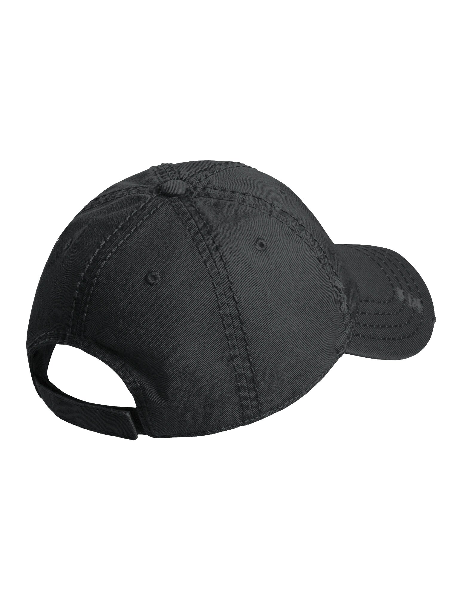 Eau Galle Scenic Railway Distressed Dad Hat product image (3)