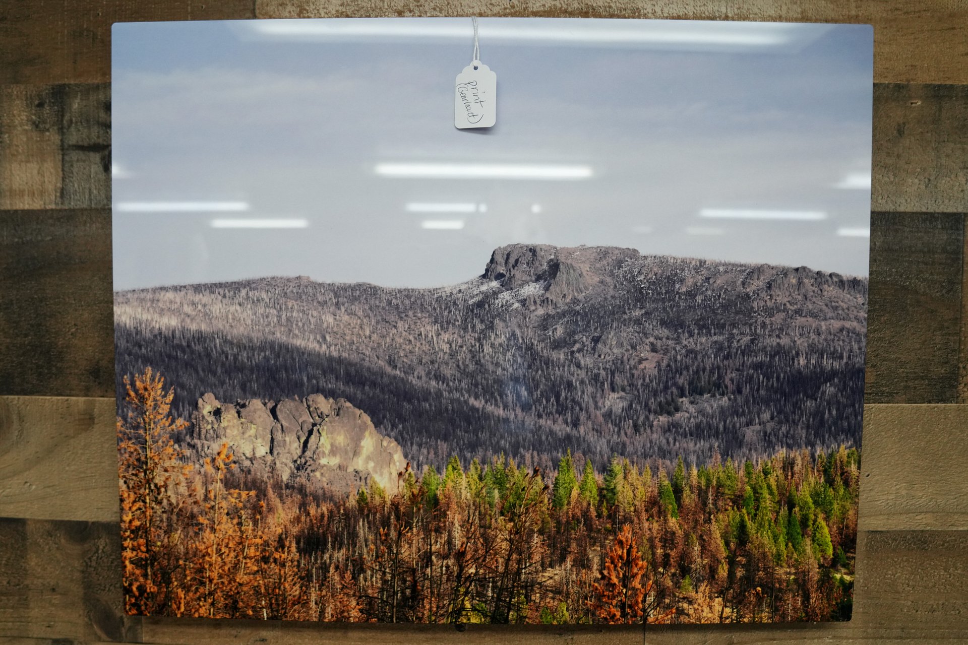 Gearhart Metal Print 16 x 20 product image (2)