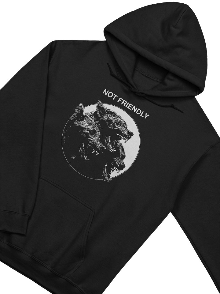 NOT FRIENDLY - Hoodie product image (2)