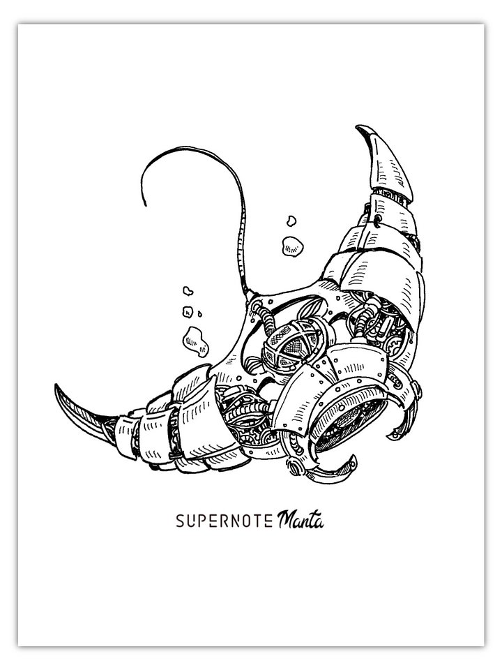 A5/A6 Steampunk Birds & Manta Screensavers (FREE DOWNLOAD) product image (1)