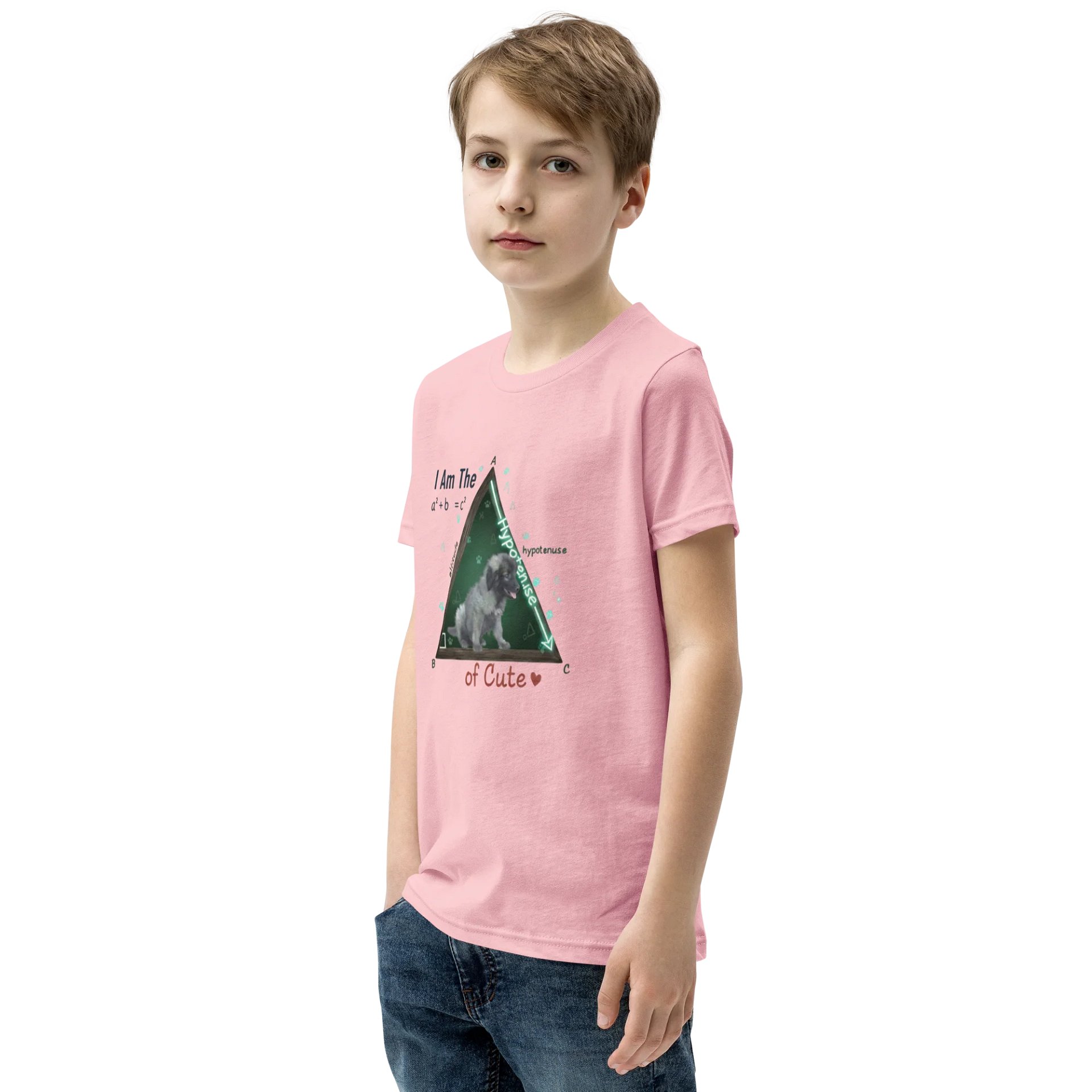Kids Science Tee | Math Humor product image (5)