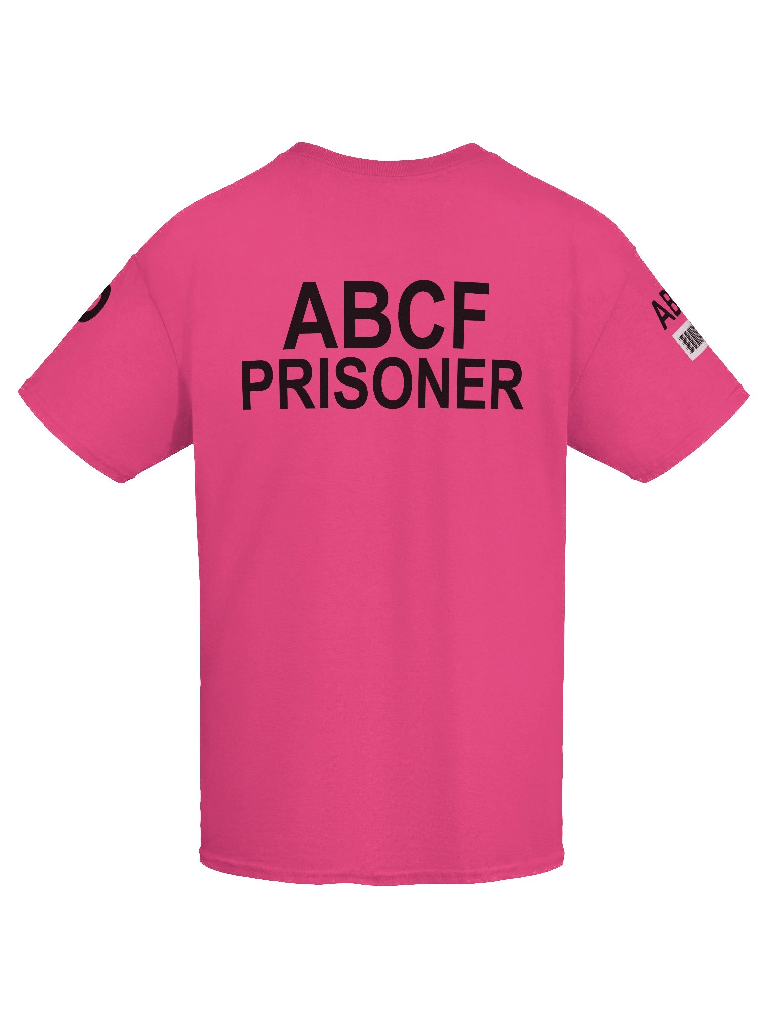 ABCF Standard Issued Maximum Security T-Shirt product image (9)