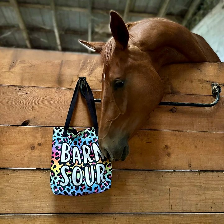 Barn Sour Rainbow Leopard Tote product image (1)