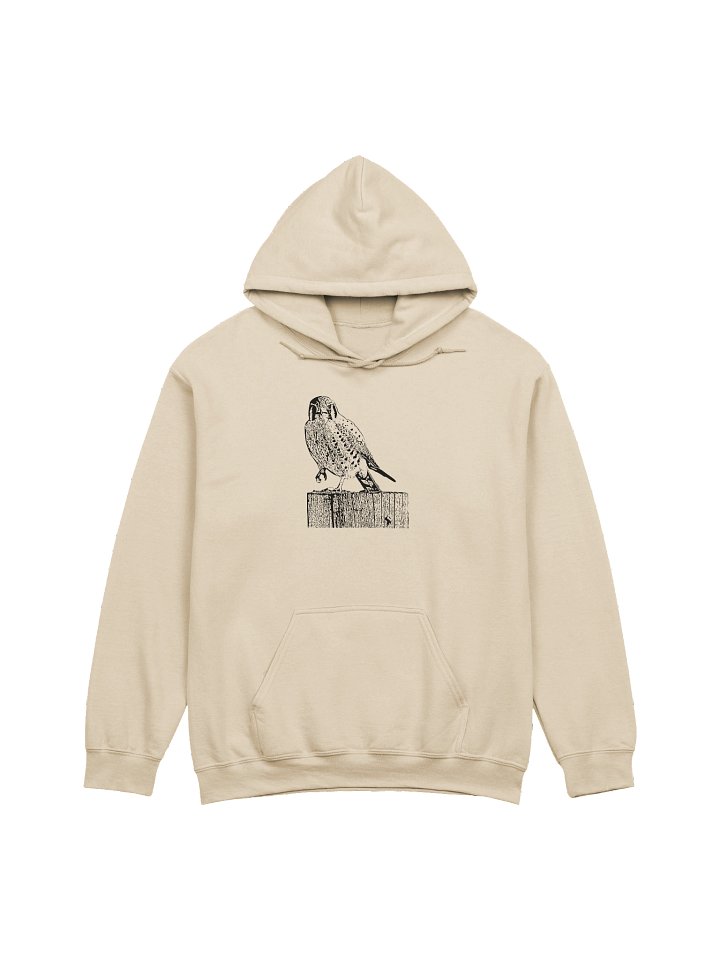 American Kestrel Comfort Hoodie product image (25)
