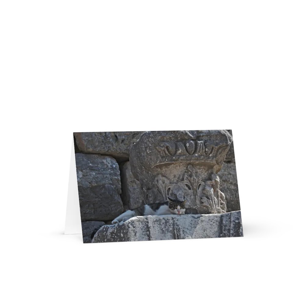 Sleeping Cat Card product image (1)