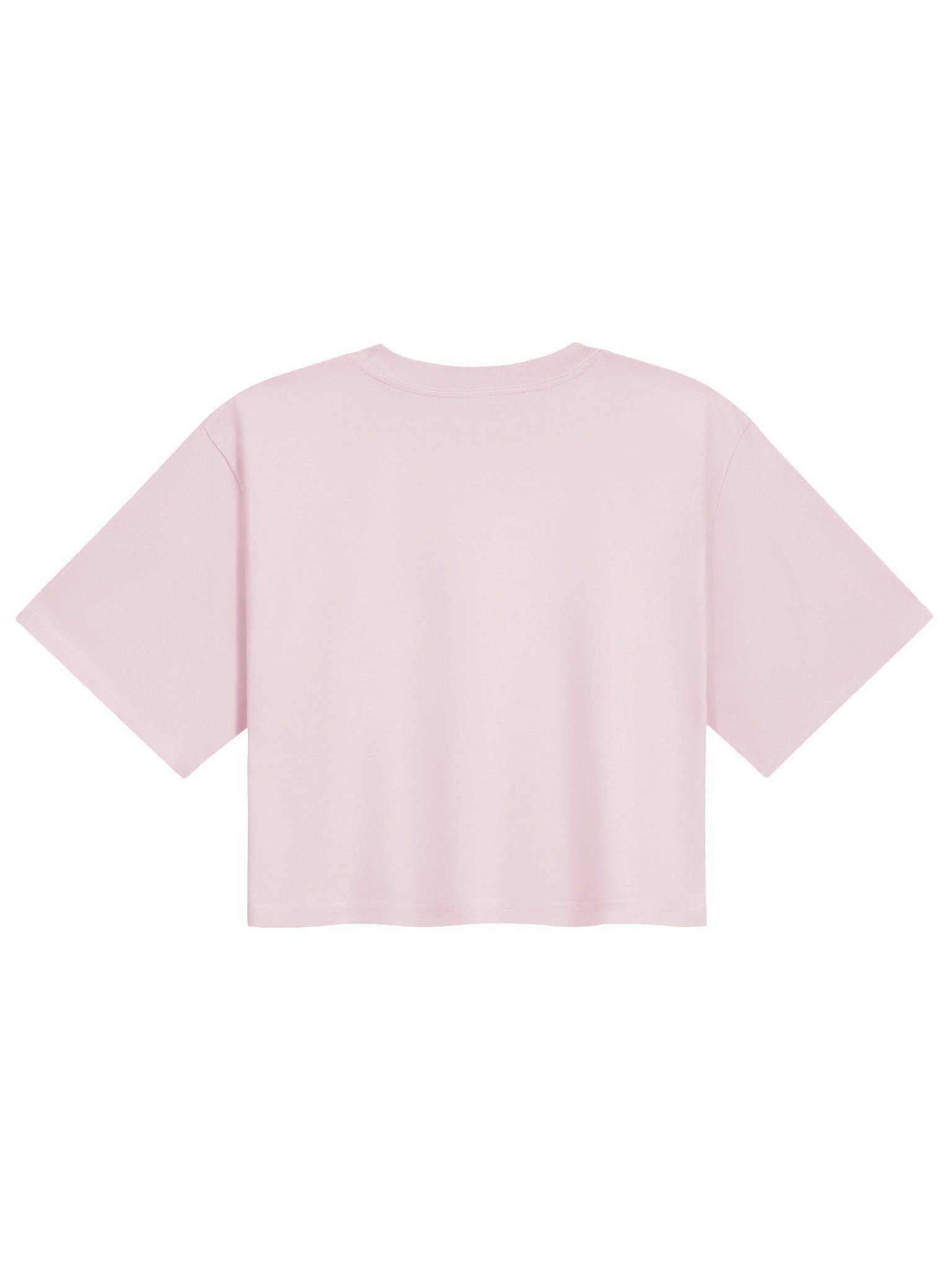 Big Dinky Crop Tee product image (10)