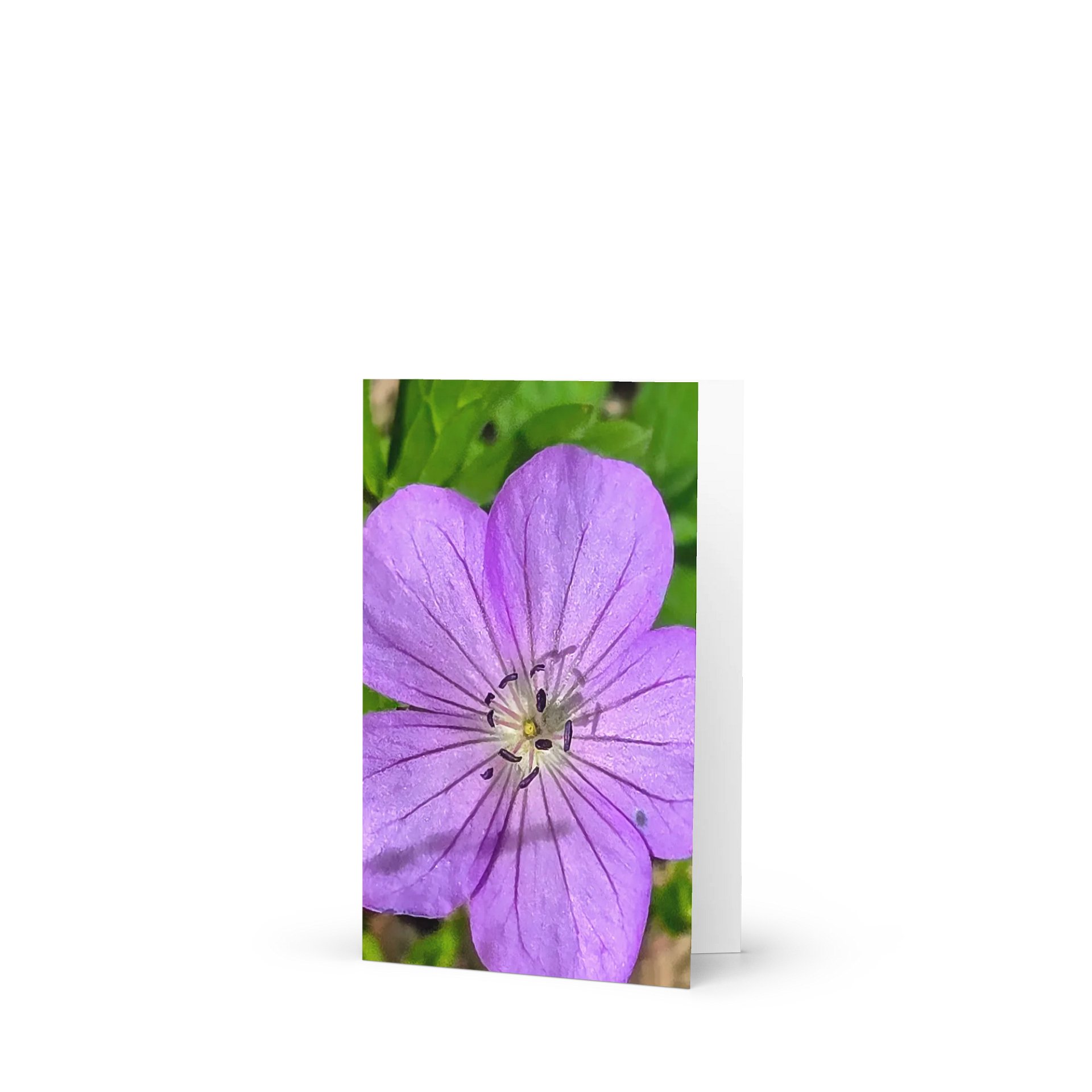 Purple Petals Greeting Card product image (1)