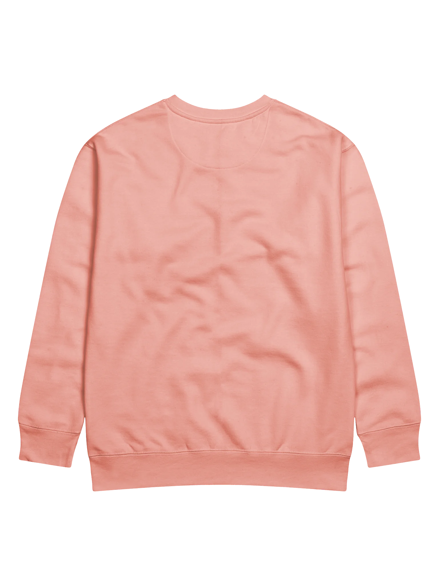 Chatty Pumpkin Premium Sweatshirt | Cozy Chatty Fall Collection product image (12)