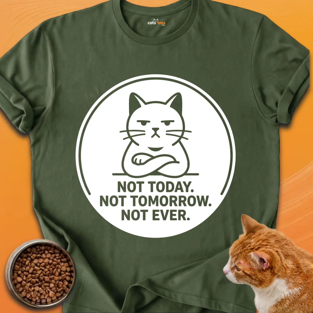 Not Today Not Tomorrow product image (17)