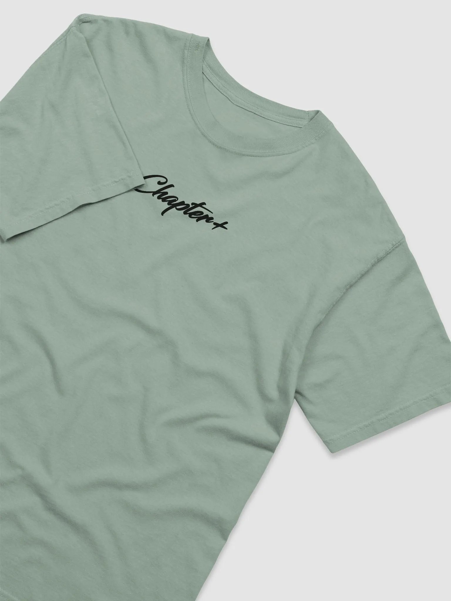 Official CHP shirt product image (1)