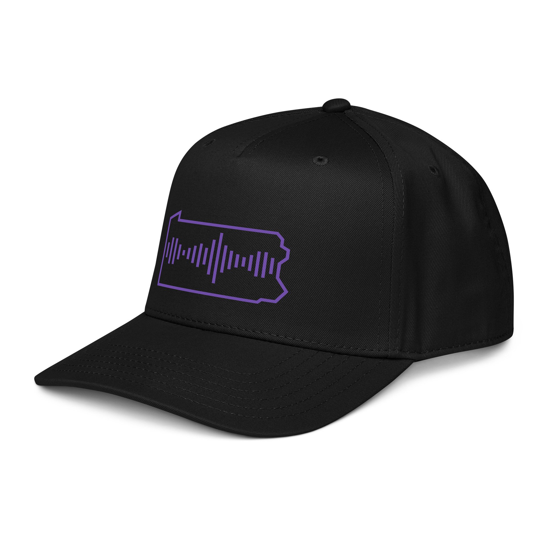 StreamPA Snapback product image (4)