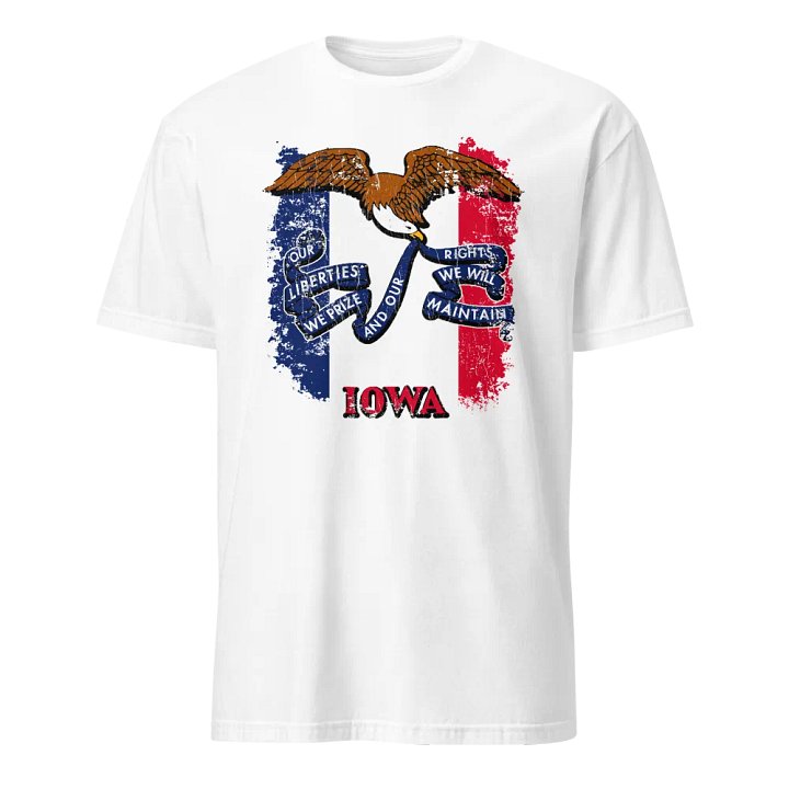 Iowa State Flag product image (1)
