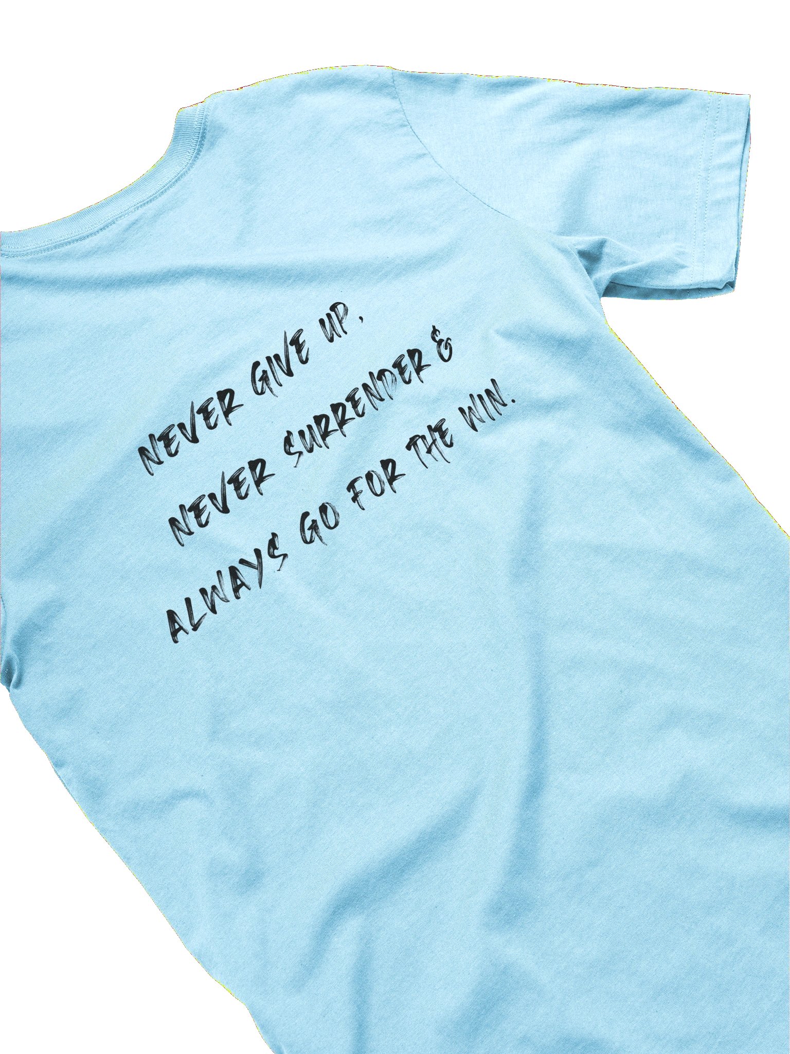 Never Surrender product image (43)