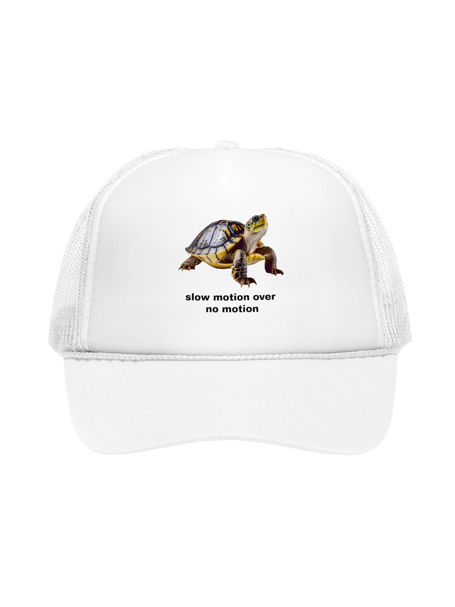slow motion turtle cap product image (1)