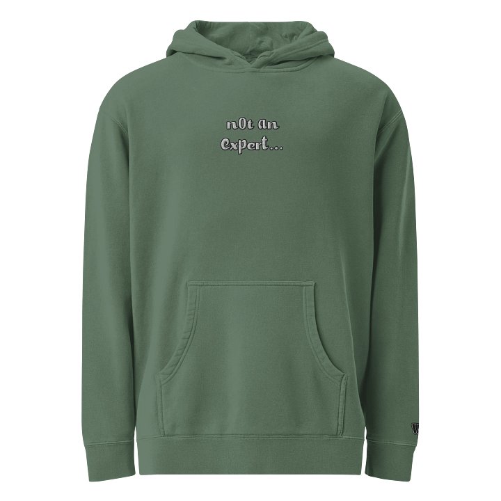 "not an expert..." Official Heavy Weight Hoodie product image (1)