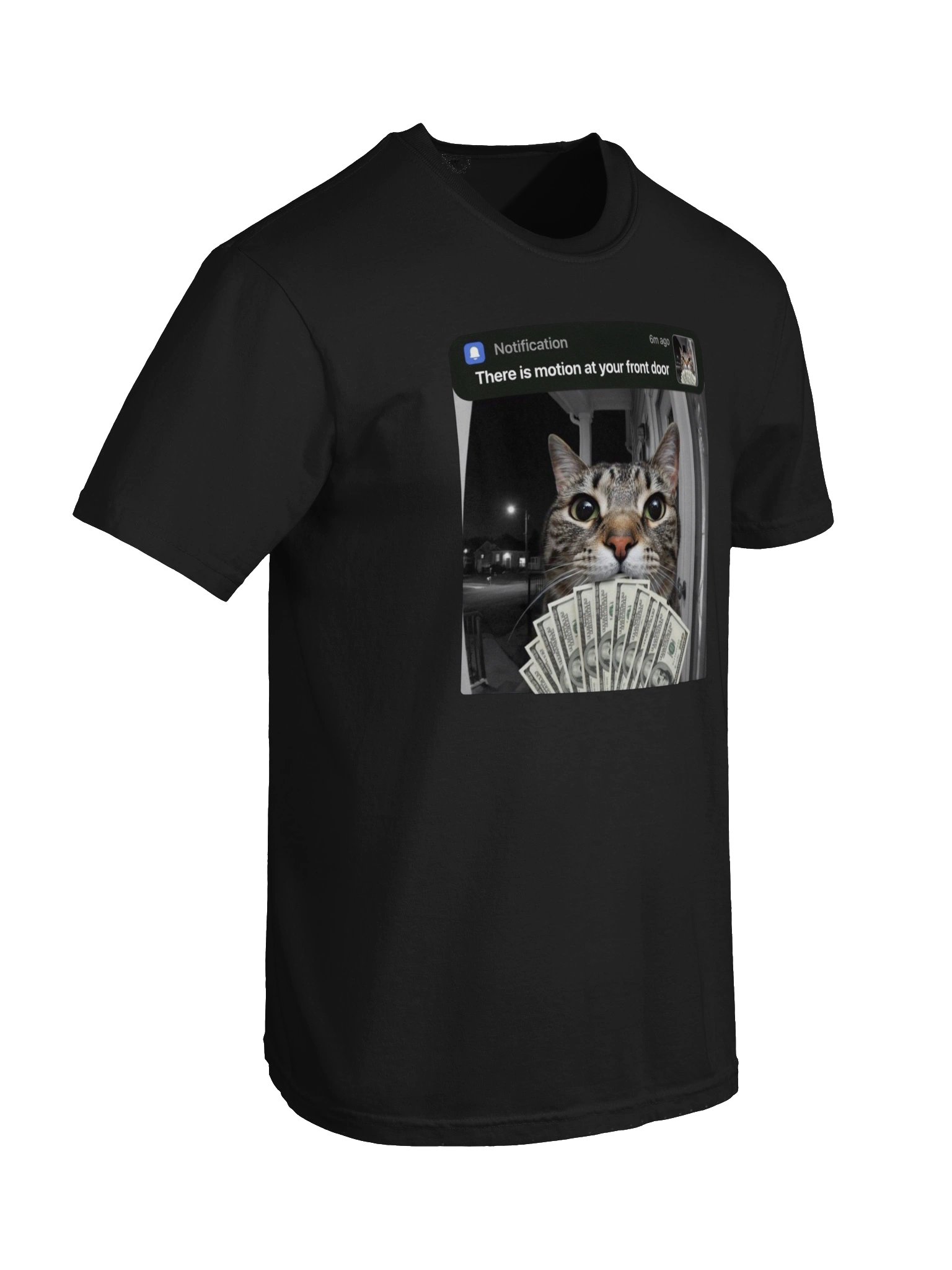 There is Motion At Your Front Door Funny Cat Motion Meme T-Shirt product image (48)