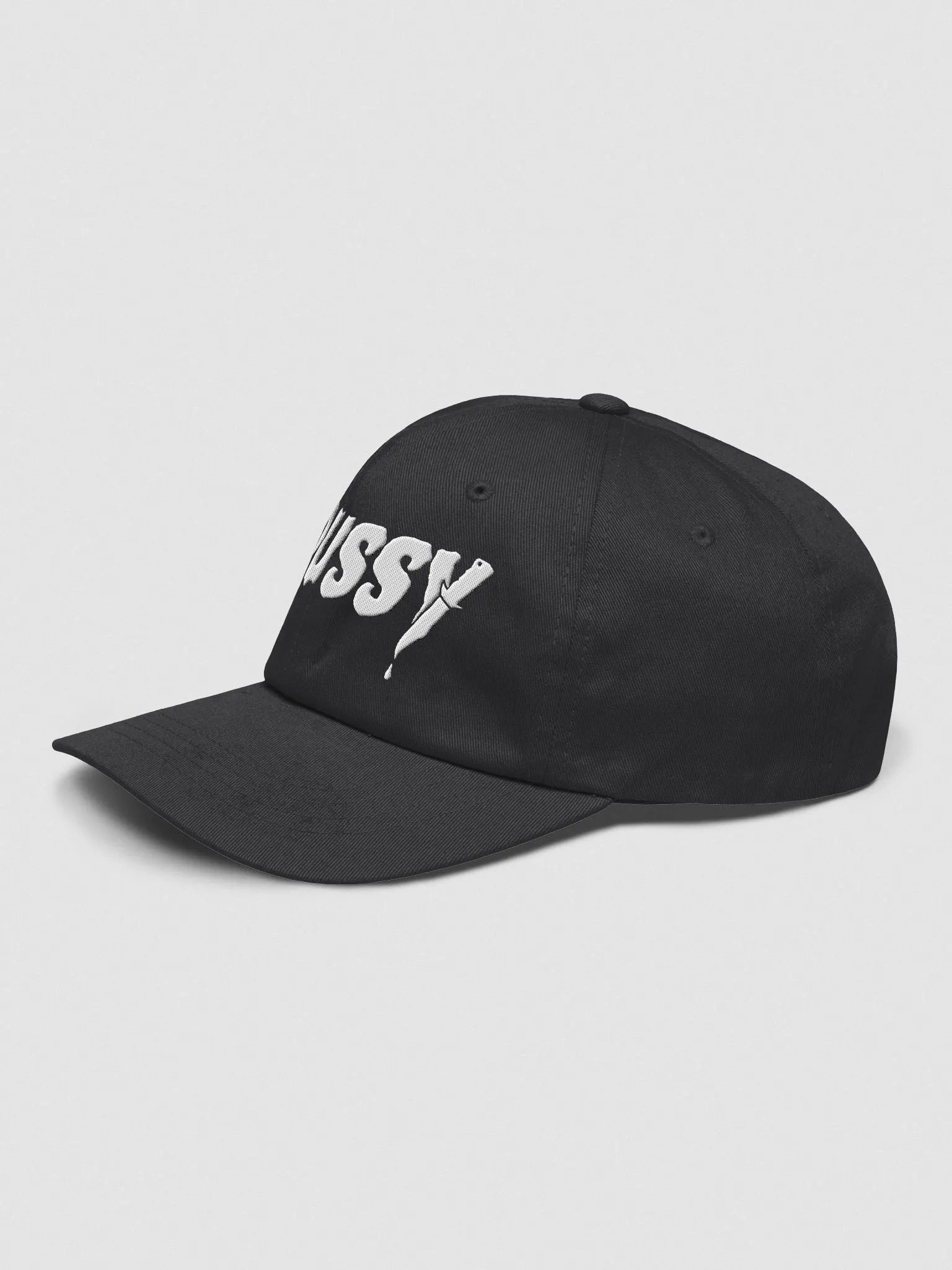 Embroidered Dussy 2025 Hat product image (4)