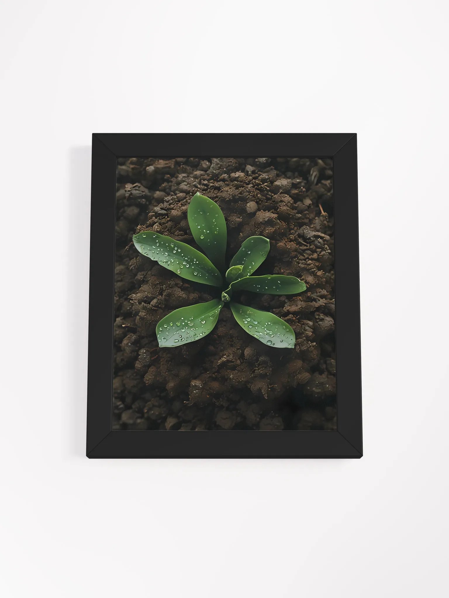 Dewy Greenery Framed Matte Poster product image (2)