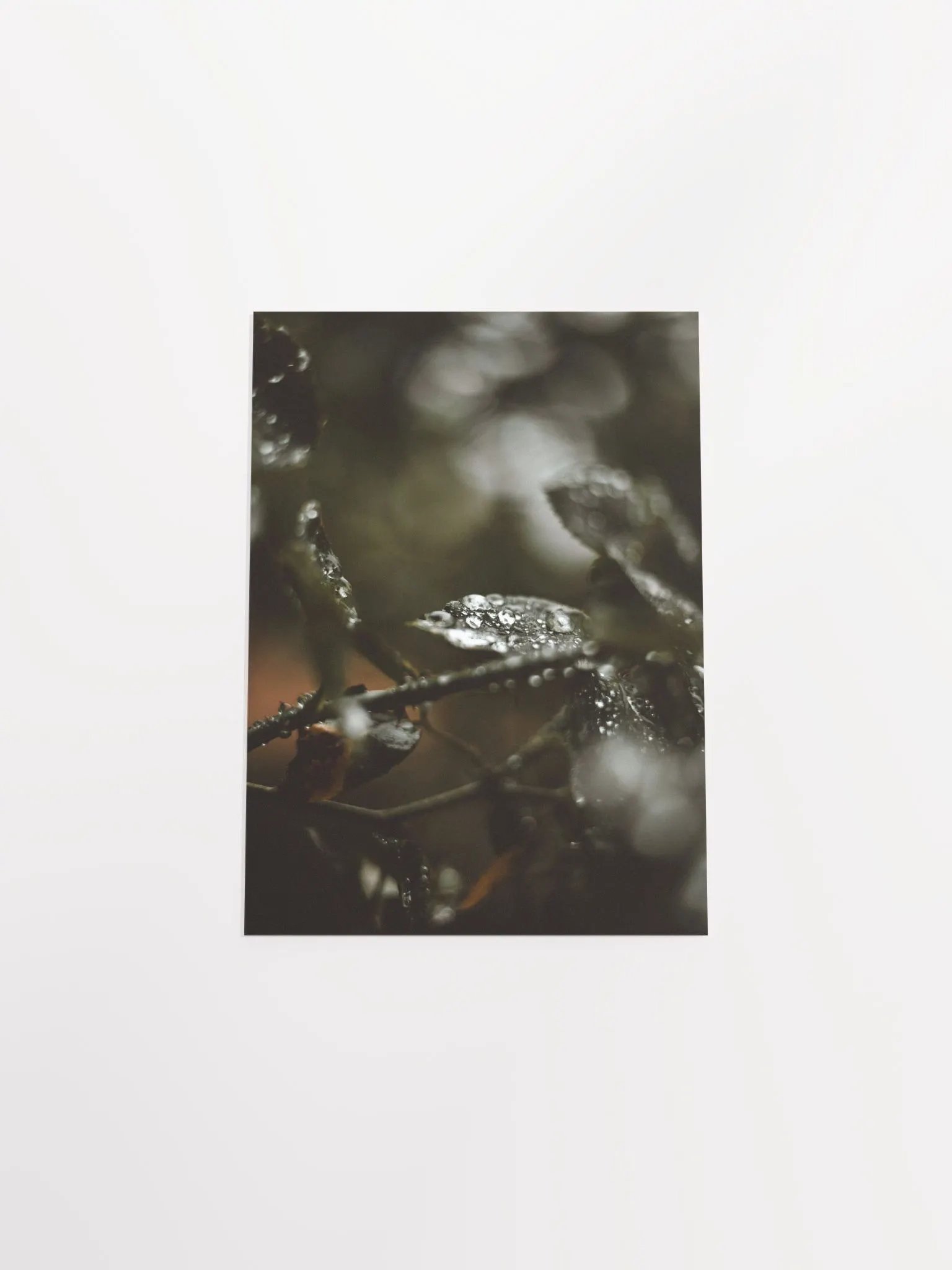 Rainy Day product image (13)