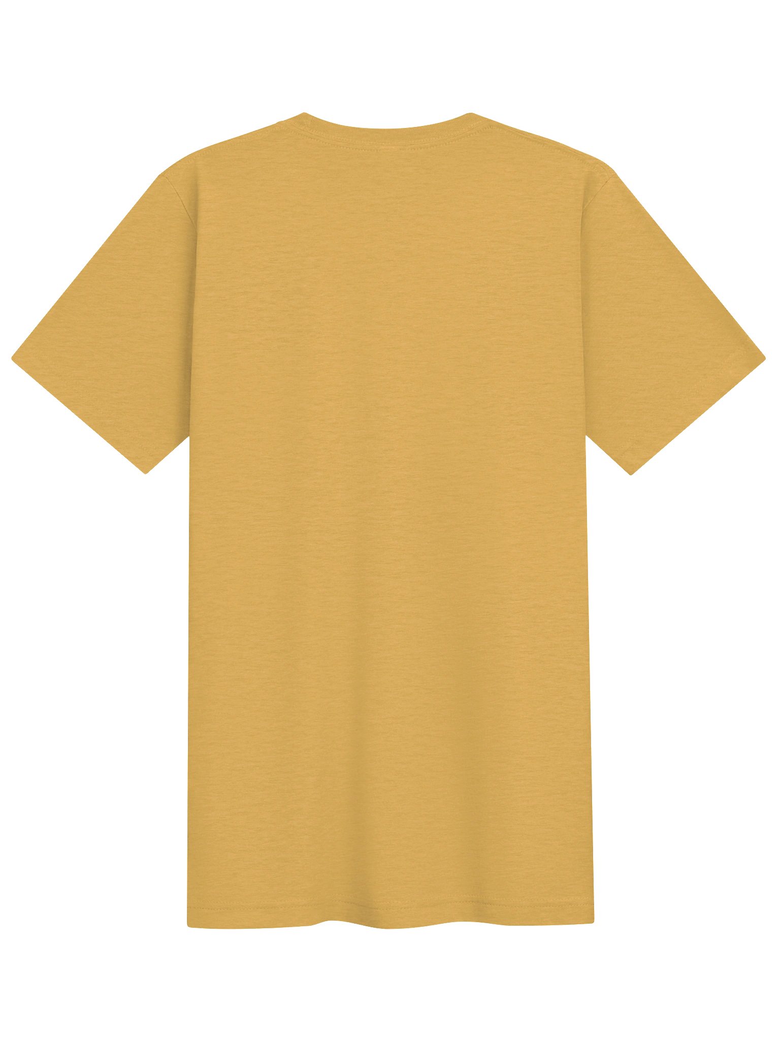 MOSES THE STRONG - Triblend T-Shirt product image (5)