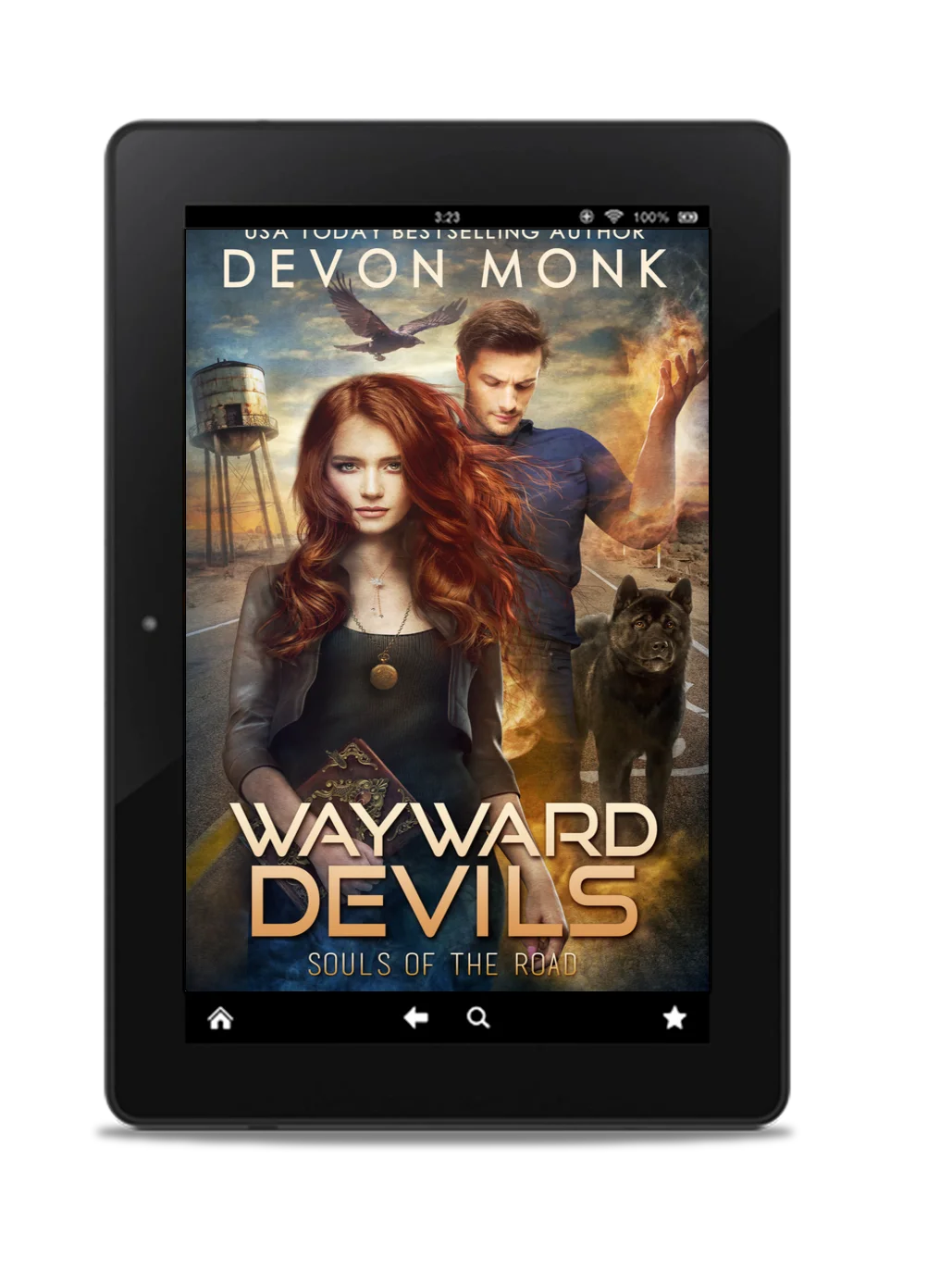 WAYWARD DEVILS - (ebook) - Book 4 product image (1)