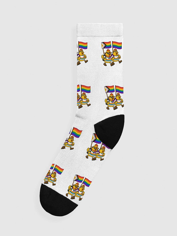 CFSV Pride Parade product image (1)