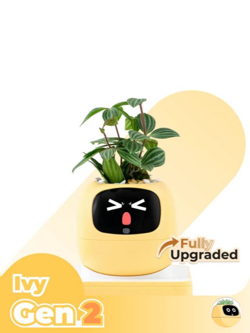 Stilzone Ivy Gen 2 product image (5)