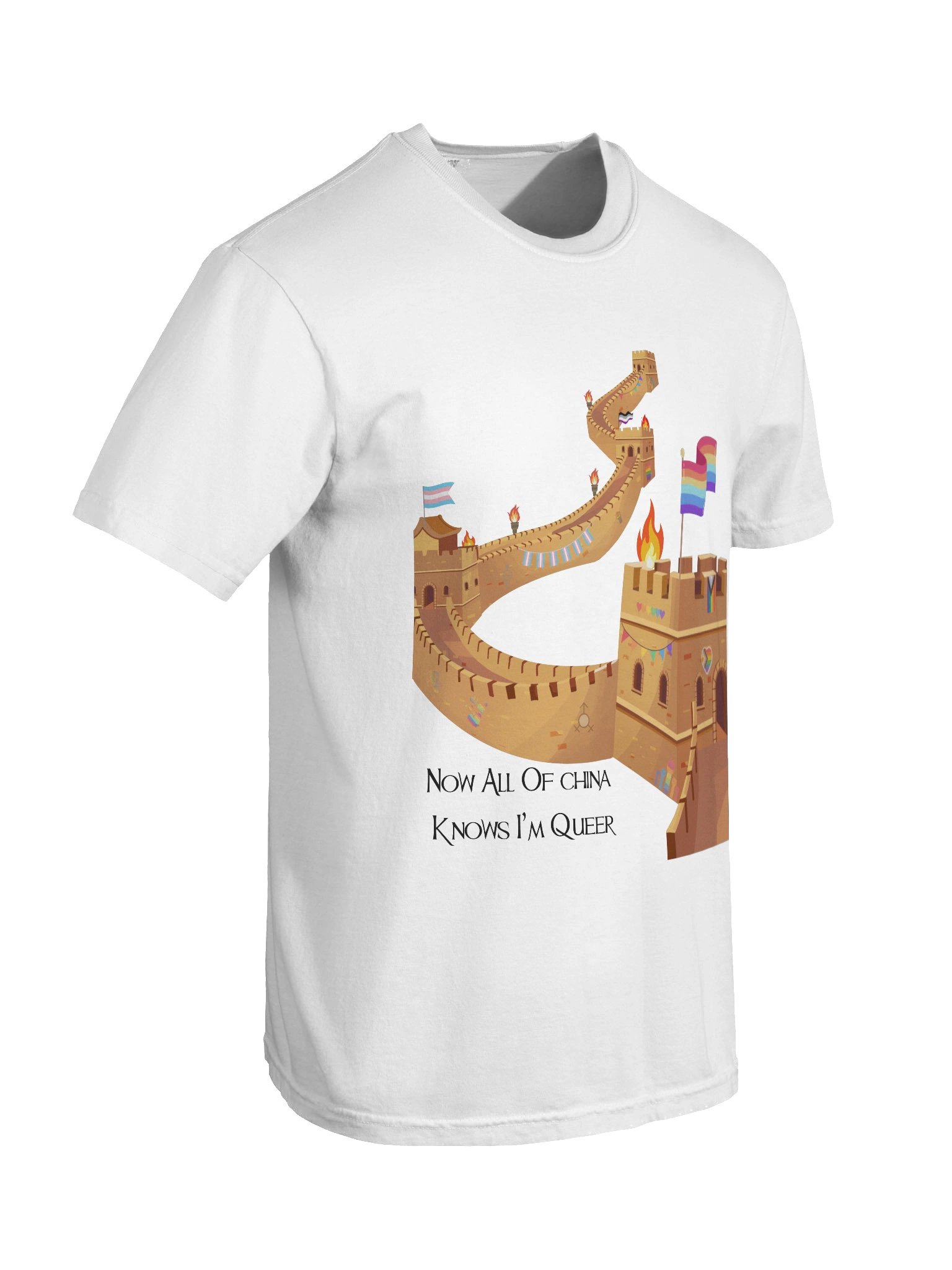 Now All Of China Knows I'm Queer T-Shirt product image (8)