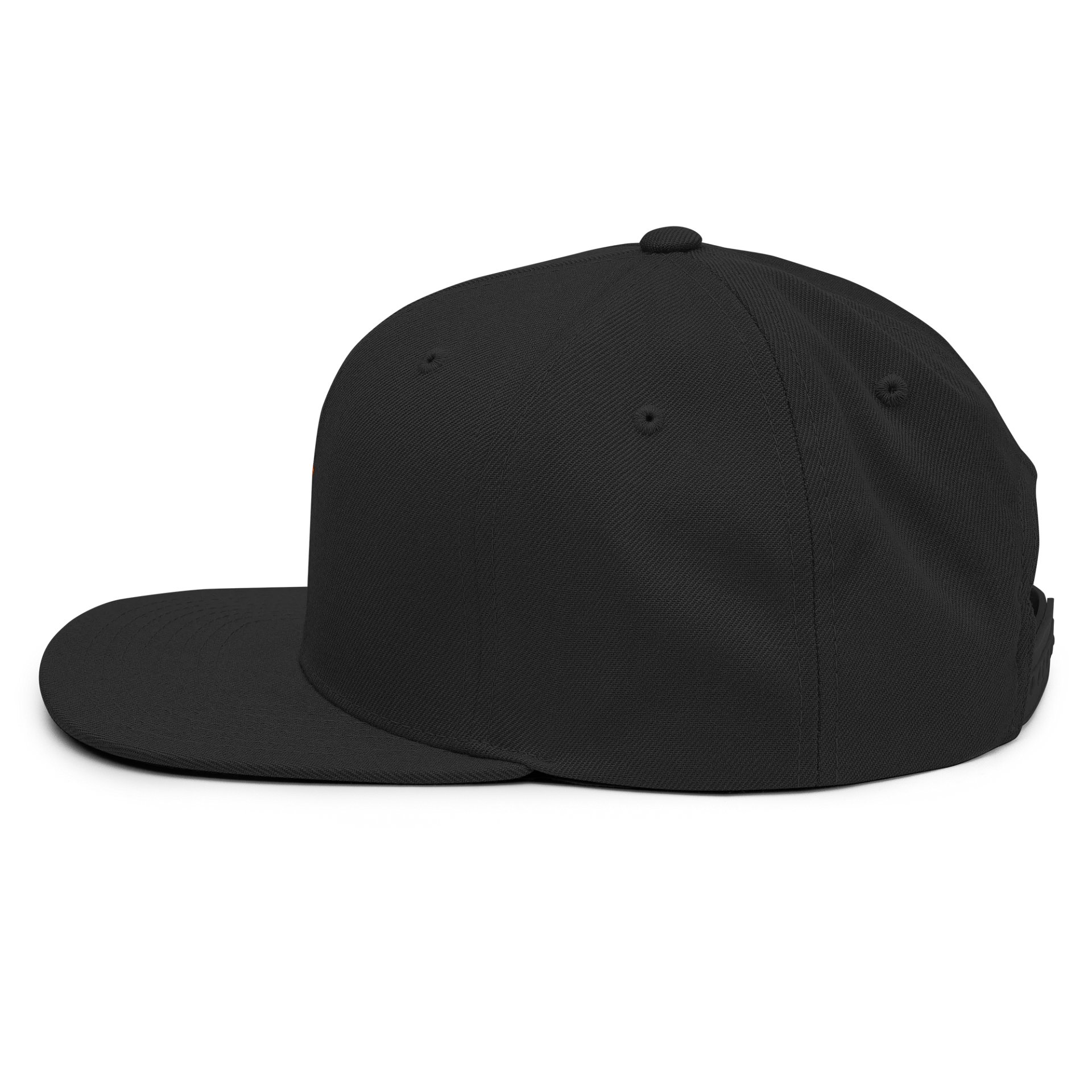 Logo SnapBack product image (4)