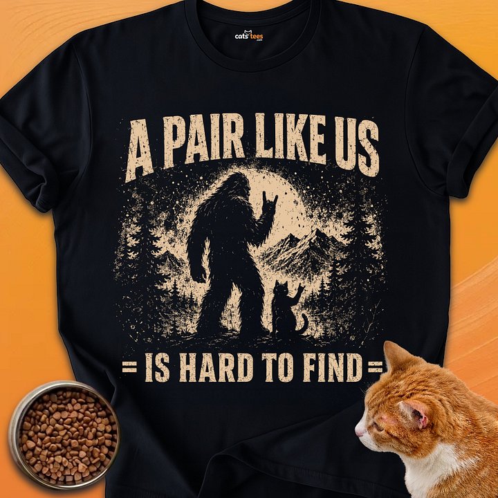 A Pair Like Us product image (1)