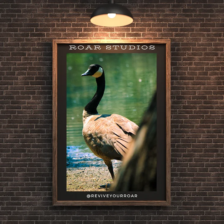 Goldilocks the Goose product image (1)
