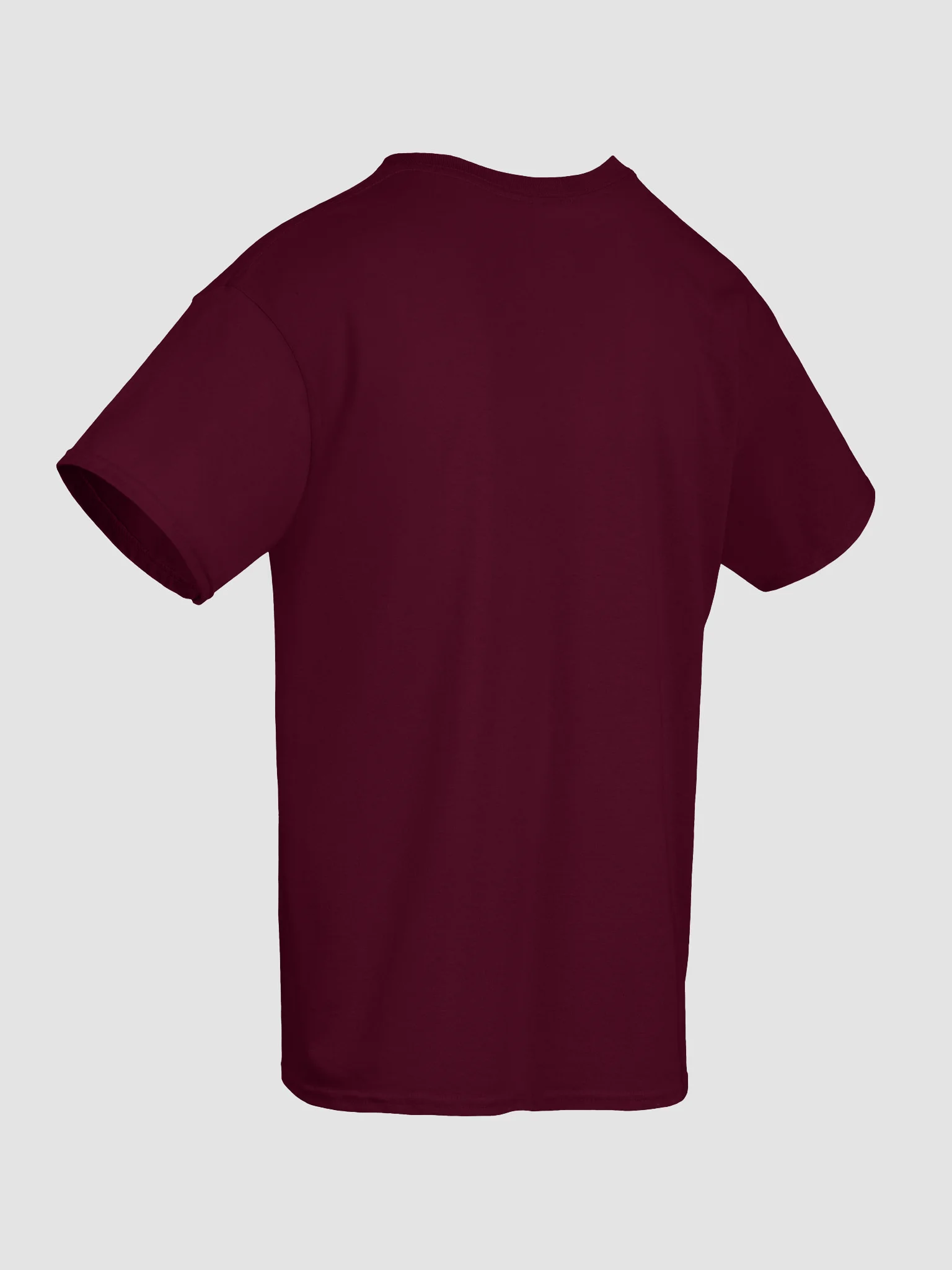Van Life Dogs Tee - Road Trip Tshirt - Motorhome Pets Shirt product image (10)
