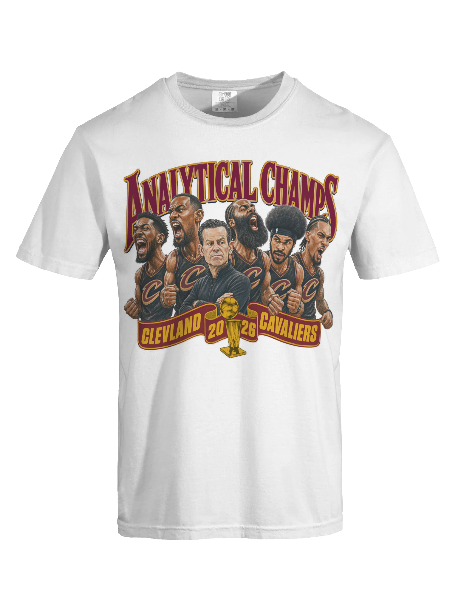 2026 Analytical Champs (vintage fit) product image (5)
