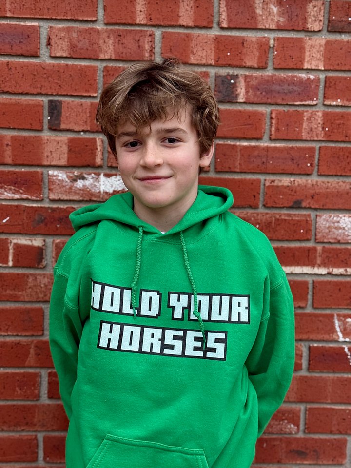 Hold Your Horses Sweatshirt product image (1)