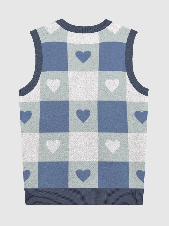 TeddyChan Plaid Vest - Blue product image (10)